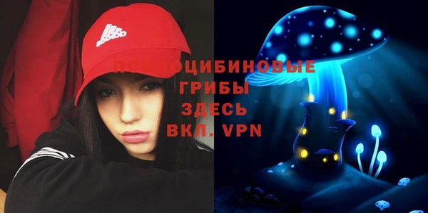 винт Каменск-Шахтинский