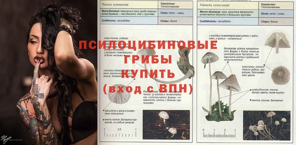 PSILOCYBIN Алексин