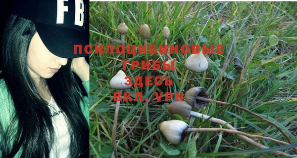 PSILOCYBIN Алексин