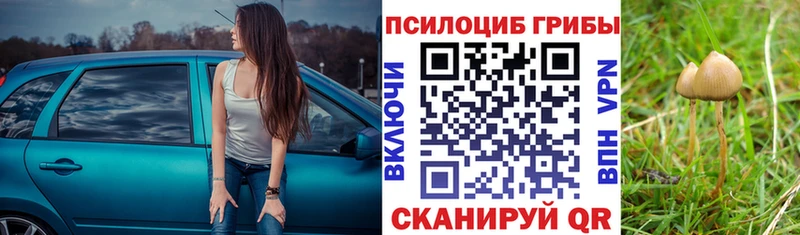 как найти закладки  Черкесск  Галлюциногенные грибы Psilocybine cubensis 