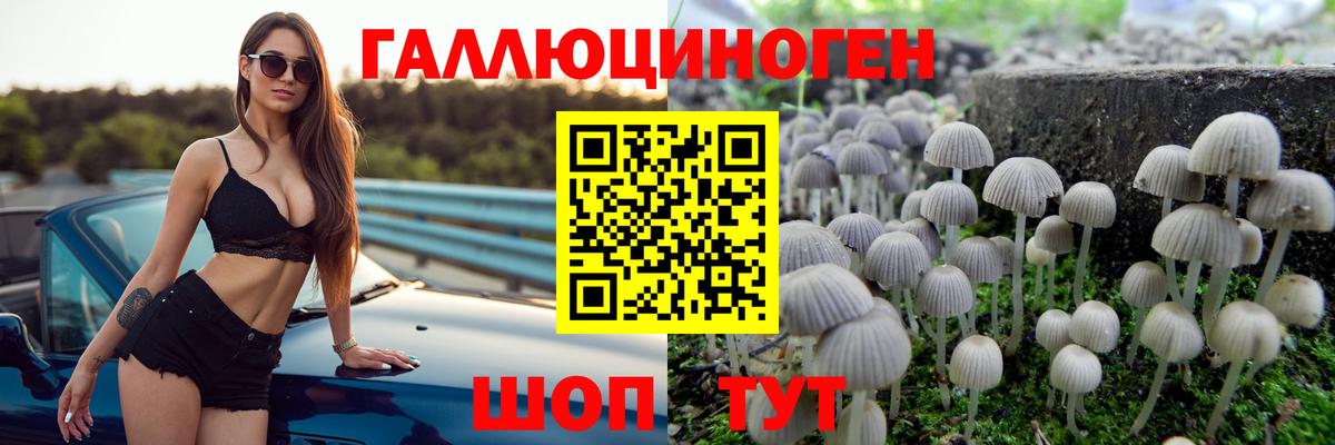 Черкесск  Галлюциногенные грибы Psilocybe  Псилоцибиновые грибы мицелий  Вход с VPN 